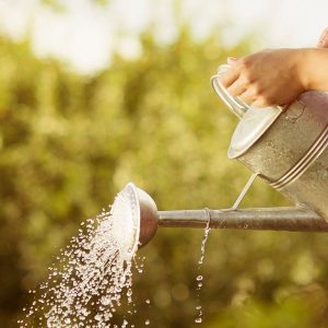 RHS Level 2 Certificate in Plant Growth and Development: 6 months course extension