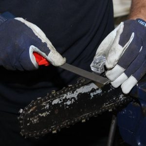 Level 2 Award in Chainsaw Maintenance and Cross-cutting