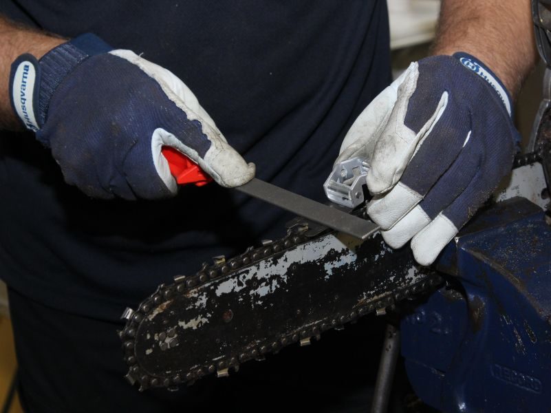 Level 2 Award in Chainsaw Maintenance and Cross-cutting