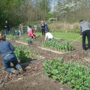 RHS Level 2 Certificate in Practical Horticulture as 'Blended Learning'