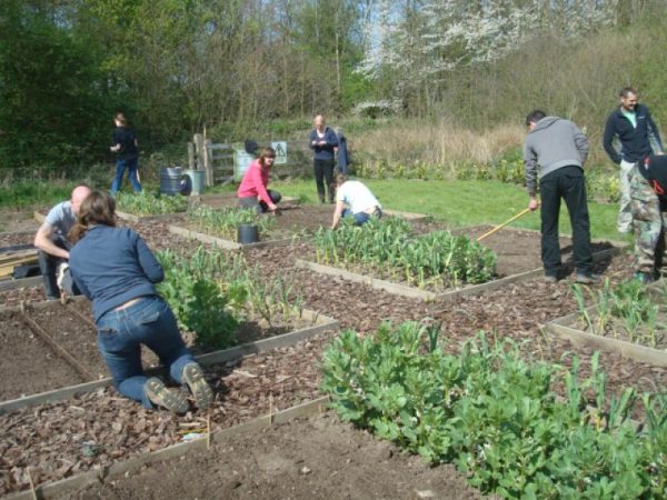 RHS Level 2 Certificate in Practical Horticulture as 'Blended Learning'