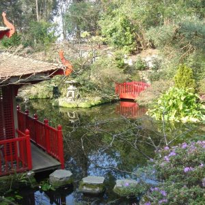 New RHS Level 2 Certificate in Practical Horticulture