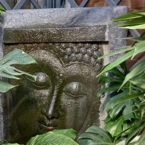 NEW RHS Level 2 Certificate in the Principles of Plant Growth and Development