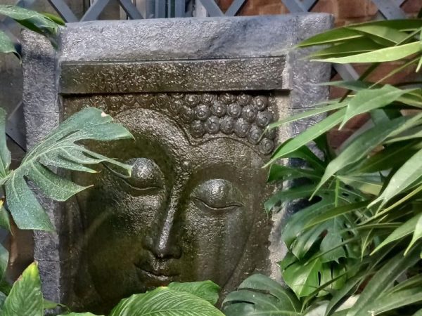 NEW RHS Level 2 Certificate in the Principles of Plant Growth and Development​