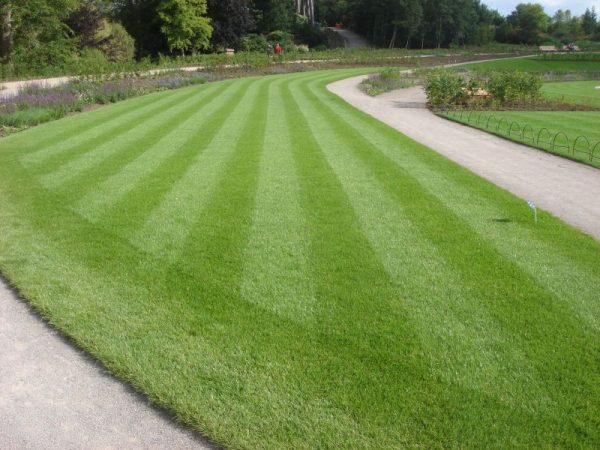 Seasonal Lawncare and Turf Management (autumn,spring and summer: 3 sessions)